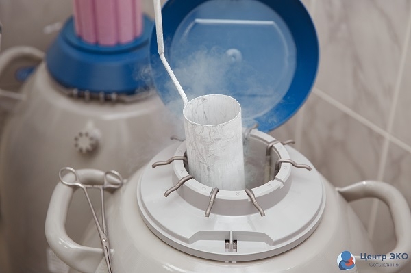 Boglangan jinsiy aloqa video