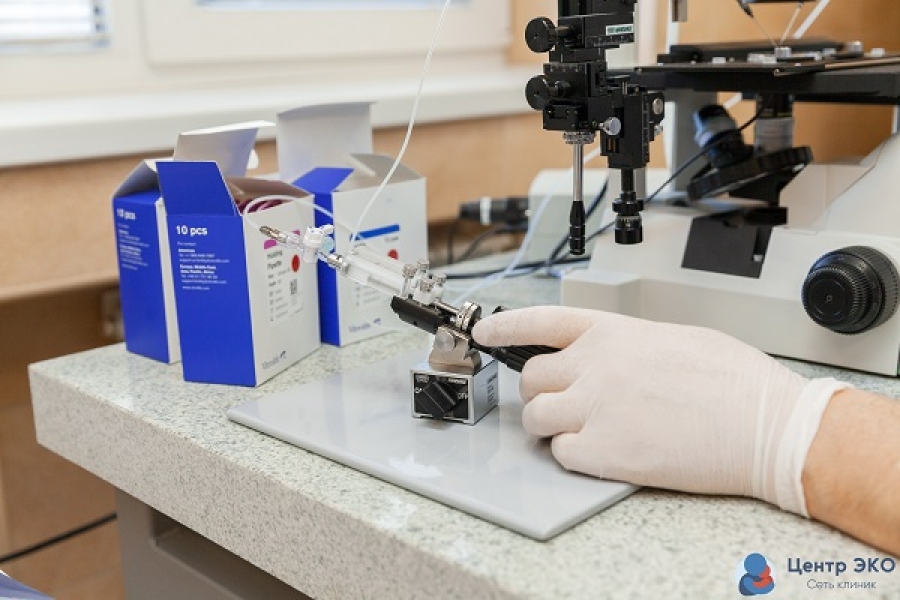 Основные параметры базовой спермограммы - клиника Геном в Калининграде