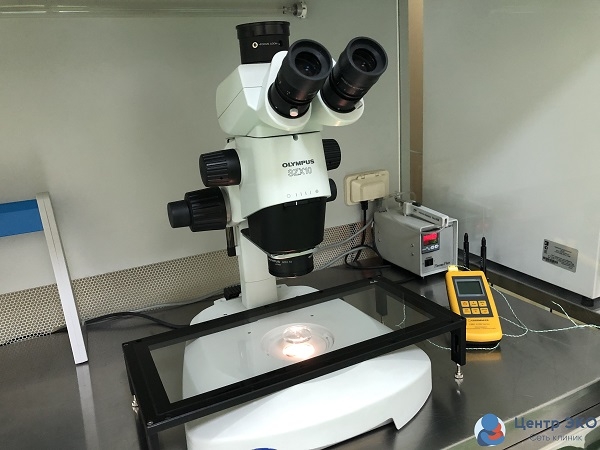 Жеке жасырын порно видео Менің Щучьедегі жезөкшелерім