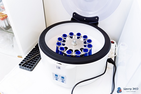 Xotinimning osilgan kokraklari haqida onlayn porno videolarni tomosha qiling